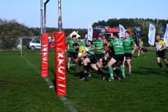 DSC_2025 DSC_2025